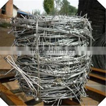 high quality cheap galvanized barbed wire / 12mm barbed distance barbed wire