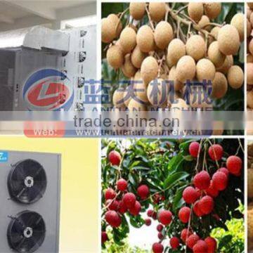 Induatrial Garlic Dehydrator Drying Machine photo-2