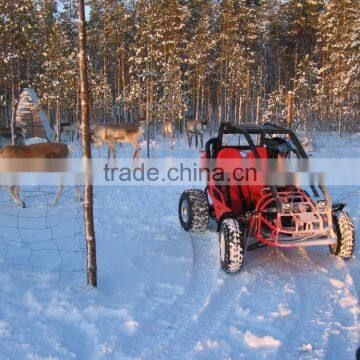 EEC 150cc/250cc Buggy photo-5