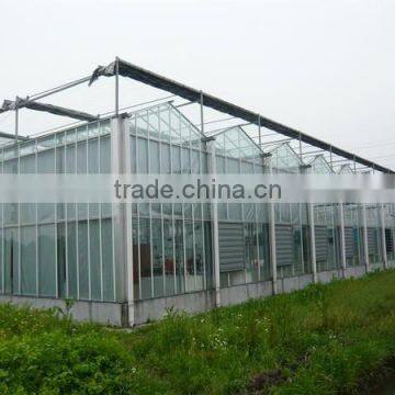 Vegetable Greenhouses for Sale/greenhouses for Roses/vegetable Seeds Greenhouse photo-4