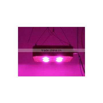 5 Watt Led Grow Light ,200w Integrated Led Grow Light for Green House Palnt photo-2