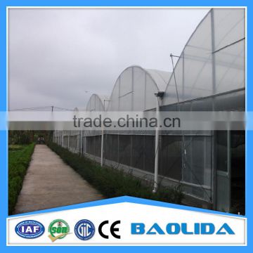 Galvanized Steel Frame Agricultural Greenhouse For Sale