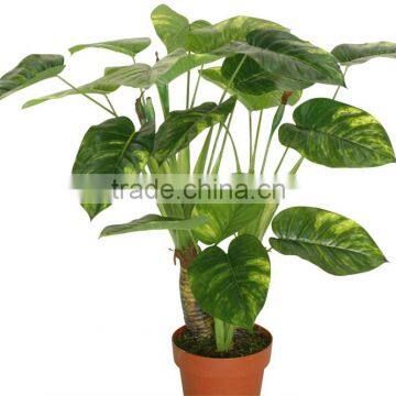 CHY030934 Artificial Plastic Plant Indoor Epipremnum Aureum Bonsai Plant Trees photo-5