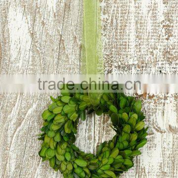 8'' Preserved Boxwood Wreath Wholesale photo-3