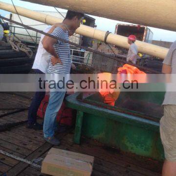 Sea Frozen Pacific Mackerel photo-5