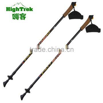 lightweight carbon nordic walking stick