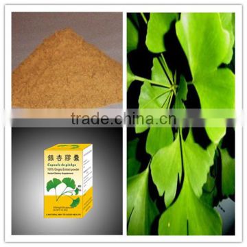 Ginkgo capsule