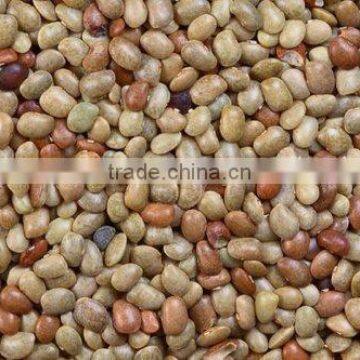 Kulthi Dry Extract photo-4