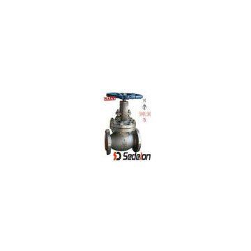 Power Plant Globe Valve RTJ/BW