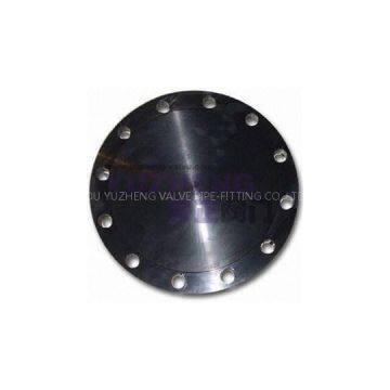 Carbon Steel Blind Flange