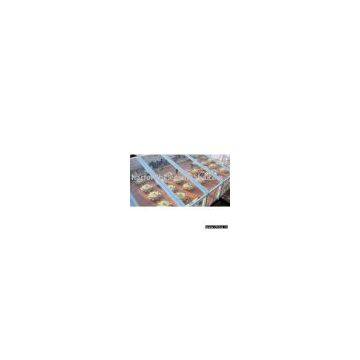 Marquee / Party Tents / Wedding Tent - Transparent Roof