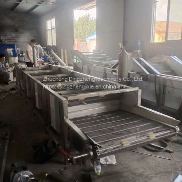 Industrial Vegetable Washing Machine Cleaning And Grading Equipment For Fruits And Vegetables