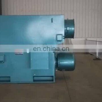 HV 6kv 10kv best selling three phase hot sale ac electric induction motor price