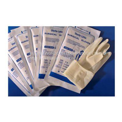 Latex Surgical Gloves