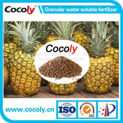 Cocoly Plus Seaweed Extract NPK Compound Brown Granular Water-Soluble Fertilizer