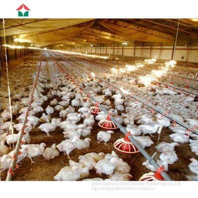 chicken breeder slaughter house