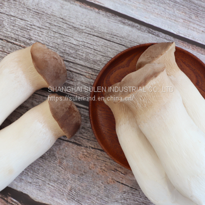 Fresh Mushroom (WWWdotSULEN-INDdotCOM) photo-3