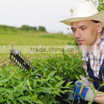 Gasoline Hedge Trimmer HT-26D,electric Hedge Trimmer photo-3