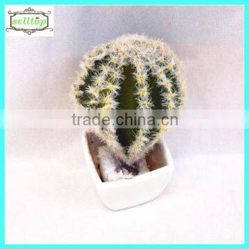 12cm new design hot sale artificial cactus