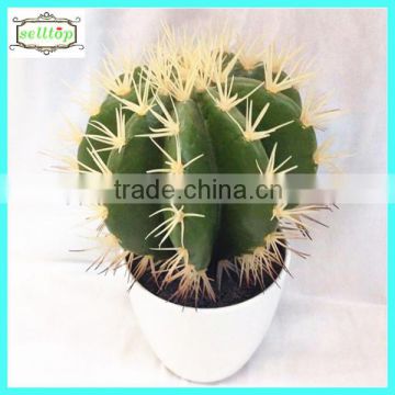 25cm high quality real touch artificial cactus plants