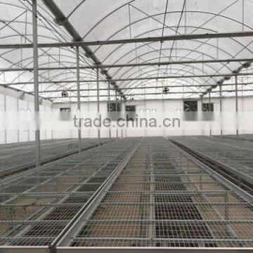 UV Treated Plastic Greenhouses for Sale photo-4