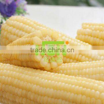 Non Gmo Vacuum Sweet Corn