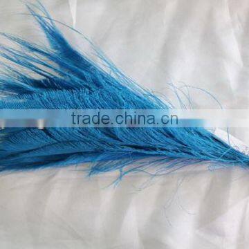 TURQ peacock feathers for sale