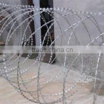 Galvanized Razor Wire photo-2