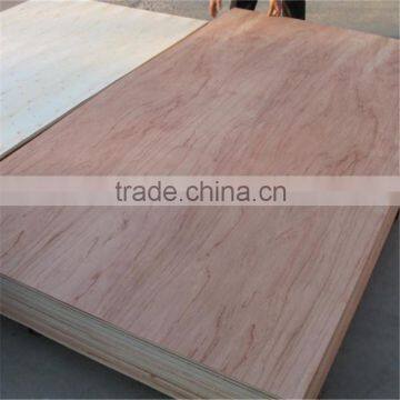 Cheap plywood for sale from Linyi city in China