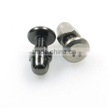 Wholesale P Head Screw With Nut for Suitcases photo-5