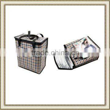 2012 Cooler Bag For Frozen Food