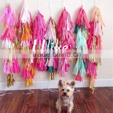 Bulk Diy Tissue Tassel Garland Elegant Colorful Gold and Silver Outdoor Diy Tassel Garland.