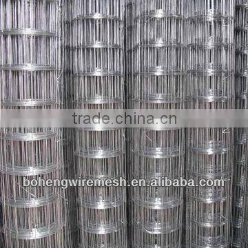 GREEN VINYL COATD WELDED WIRE MESH