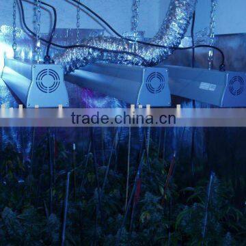 Full Spectrum Super Power high power led grow light