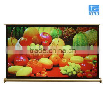 Golden Tone Tabletop Micro Portable Presenter Projector Screen, Easy Carry Outdoor Wall Mount Projection Screen 40" 50"