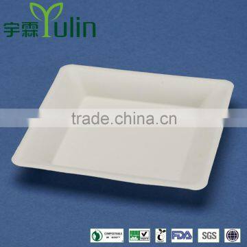 PL-06-S 6.75 inches disposable flate square shape sugarcane dinner plates