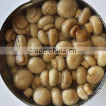 Canned Mushroom Champignon