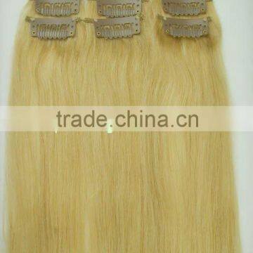 Human Hair Extension - Clips on Hair / Clips in Hair / Wigs