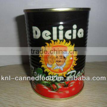 Double concentrated tomato paste 400g24tins