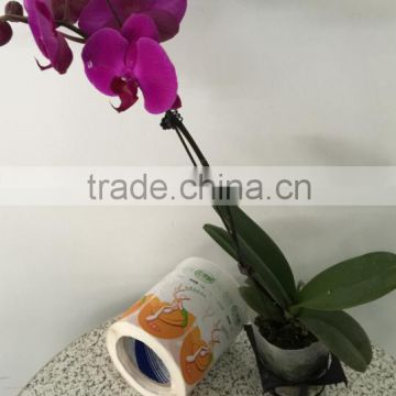 High quality cheap price paper/vinyl self-adhesive labels stickers printing in roll or in sheet