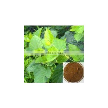 Mulberry Leaves Extract 1-Deoxynojirimycin 20%