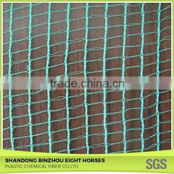 Excellet Quality Cheap High Quality Pe Olive Net for Sale photo-3