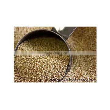 AMARANTH SEEDS
