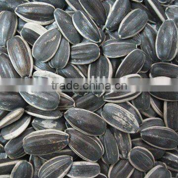 Sunflower Seeds