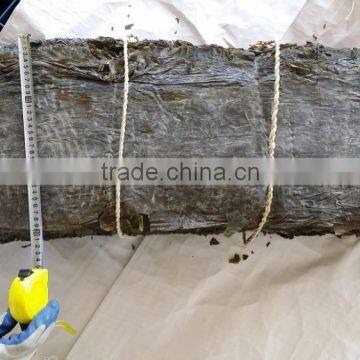 Dried Kelp Sheet, Broad Dried Kelp Leaves to Conduct SPA Treatments in Beauty Salons photo-4