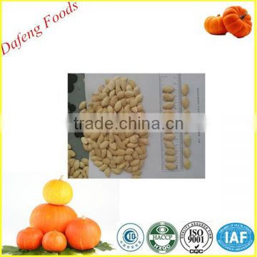 high quality snow white pumpkin seeds price