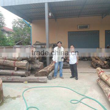 Red Nice Wood From Laos photo-2