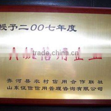 The municipal enterprise technology center