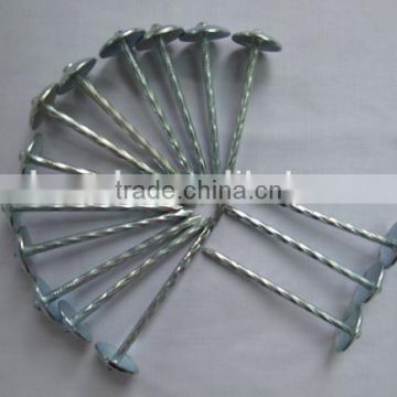 hot-dip galvanized roofing nails