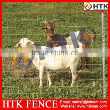 China Suppliers HTK Galvanised Hinge-lock Animal Fence photo-2